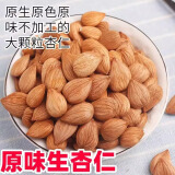 梦动正宗杏仁原味杏仁坚果甜杏仁2025新货新疆特产干货生杏仁南杏仁零食 新货甜杏仁【500克】原味大颗粒
