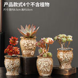 仟尚亿老庄陶瓷花盆高盆法师老桩肉肉创意复古个性室内粗陶多肉植物花盆 GJ复古小老桩组合4个 中等