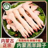 荤八厨 内蒙古羊蹄2斤净重 新鲜羔羊肉生鲜小羊腿羊脚爪羊蹄子烧烤食材