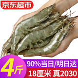 弹指鲜生虾盐冻大虾基围虾冷冻厄瓜多尔白虾夜宵烧烤食材毛重4斤净虾3.3斤 18-20cm 4斤(净重)  2030超大虾