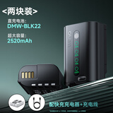 绿巨能（llano）适用松下电池DMW-BLK22相机电池DC-S5 S9 GH6 GH5M2单反数码微单LUMIX s5m2 Panasonic充电仓盒子 【PD18W】两电双充-极光电池