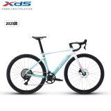 喜德盛公路自行车2025-AD350碳纤前叉座管功率计齿盘铝合金超轻气动车架 流光青 540mm