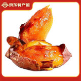 鸢语 山东烟薯25 新鲜红薯净重2.25kg单果150克起  糖心蜜薯 源头直发