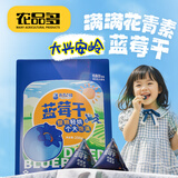 农品多大兴安岭蓝莓干250g 0添加剂0钠 独立小包蜜饯果干果脯 休闲零食