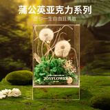 JoyFlower永生花蒲公英相框摆件生日礼物毕业礼品结婚纪念日送女生朋友老师