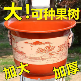 大海边  花盆加厚塑料花盆树脂大号盆绿植绿萝花盆新款特大号福盆山水 【红山水+托盘】直径20cm高15cm