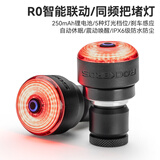 洛克兄弟（ROCKBROS）自行车尾灯USB充电骑行安全夜骑车灯警示灯公路山地车尾灯配件 智能同频刹车把堵灯 RO (一对)
