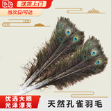 佐之寻孔雀羽毛摆件插花瓶的羽毛天然孔雀翎尾羽DIY装饰品客厅花瓶摆件 孔雀毛 (70-80cm 6支)