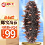 美风堂 即食海参大连单个装鲜食野生底播辽参刺参海鲜年货16-20只500g