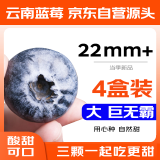 京鲜生 云南蓝莓巨无霸 22mm+ 4盒装 125g/盒 新鲜水果 源头直发