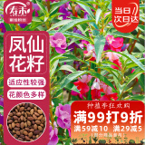 寿禾 凤仙花种子家庭盆栽春季花卉籽 中国凤仙(混色)种子1000粒/袋x3