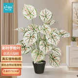匠心绽放彩叶芋粉叶仿真盆栽盆景客厅创意室内植物摆件高75CM含盆20213