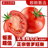 疆域采虹正宗普罗旺斯西红柿现摘新鲜沙瓤特产水果生吃宁夏西红柿自然熟 精选4斤家庭实惠装 净重约为3斤+