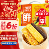 十月稻田 鲜食多彩玉米 4.28斤(黄糯玉米 花糯玉米 黑糯玉米)年货礼盒