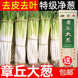 山东章丘大葱新鲜10斤蘸酱卷饼铁杆大葱5斤脆葱非圆洋东北红葱头 含箱9斤 【12H现挖】去皮
