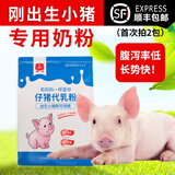 精准仔猪小猪奶粉初生乳猪奶粉专用吃的代乳粉高档款2斤装 【高档款】新生专用（2斤装）