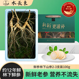 水长东新鲜林下山参2-3支装100g礼盒12年长白山人参现挖源头直发包邮