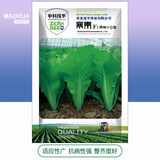 中科茂华 四季蔬菜种子萝卜黄瓜生菜向日葵娃娃菜种子家庭阳台盆栽组合 寒青小白菜500粒/袋