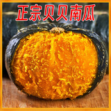 京鲜生 内蒙精品贝贝南瓜(超甜瓜)净重4.5斤单果350g+ 糖10°源头直发