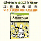 大模型技术30讲（图灵出品）DeepSeek教材 DeepSeek教程