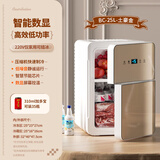 SAST迷你小冰箱mini冷冻冷藏车载家用宿舍母乳办公室学生小型冰柜 金色数显 家用 冷冻冷藏款BC- 25L