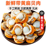 莲山九鲜新鲜冷冻扇贝肉蒜蓉粉丝扇贝生鲜贝类海鲜烧烤火锅食材 扇贝肉 1kg