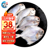 一虾一世界 国产新鲜冷冻无冰衣白鲳鱼/金鲳鱼 清蒸香煎烧烤食材 新鲜捕捞 小白鲳鱼 净重3斤【约6条/斤】