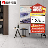 鹰牌 广东瓷砖卫生间墙面砖客厅瓷砖400X800内墙砖厨房 雨线02 E4GT02GE墙砖单片价 400x800mm