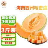 海南西州蜜哈密瓜 新鲜应季水果 3斤装（1个）