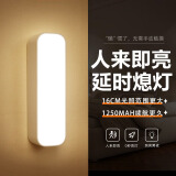 心有所属人体感应灯充电磁吸小夜灯卧室床头起夜灯家用氛围便携酷毙夜光灯
