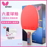 蝴蝶6星乒乓球拍 直拍【双面反胶】专业级比赛拍子纯木底板601 含拍包