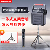 纽曼（Newmine）蓝牙音响音箱广场舞电木吉他民谣乐器歌词显示屏户外便携低音炮家用K歌U盘播放器喇叭K22 单麦克风
