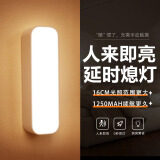 心有所属人体感应灯充电磁吸小夜灯卧室床头起夜灯家用氛围便携酷毙夜光灯