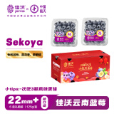 佳沃（joyvio）云南当季蓝莓sekoya系列 巨无霸22mm+ 6盒装 约125g/盒 水果礼盒