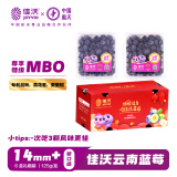 佳沃（joyvio）云南当季蓝莓MBO系列 14mm+中果 6盒礼盒装 约125g/盒 新鲜水果