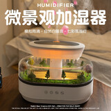 赟娅香薰氛围小夜灯加湿器桌面摆件实用走心高级小众毕业生日礼物男女 微景观雨滴香薰机【不含精油】