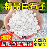 花知趣50斤白色石子石头大鹅卵石庭院铺路铺地小白石花园造景景观白石子 50斤白石子0.3-0.6cm