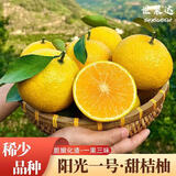 世果达正宗阳光一号桔柚 湖南怀化洪江特产水果冰糖柑橘子贡柚整箱送礼 5斤普装大果【单果75mm】