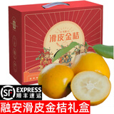 觅式广西融安脆蜜金柑第三代金桔韦依滑皮脆皮金橘新鲜水果生鲜礼盒 滑皮5斤大果礼盒（20-24颗/斤）