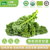 有机汇有机羽衣甘蓝 健身轻食榨汁沙拉新鲜蔬菜 有机种植无农残当天采摘 250g