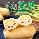 洪湖农家洪湖莲藕 新鲜莲藕 火锅食材 生鲜 湖北特产脆藕 买菜 蔬菜 藕 脆藕5斤普快