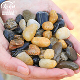 寿禾 溪流石造景装饰底砂水箱过滤养龟小石头 溪流石0.9-1.8cm2.5kg