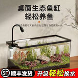 Barbarous Growth鱼缸小型免换水家用缸客厅水族箱金鱼缸制氧过滤生态桌面塑料透明 中号【底排缸】 白色