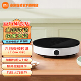 小米（MI） 米家电磁炉青春版家用双频迷你型火锅汤锅火力智能温控灶组合套装 米家电磁炉 青春版