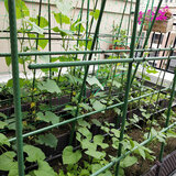 田田绿园艺支架阳台花架植物爬藤架户外花园攀爬架种菜架子黄瓜豆角架杆 人字架高180*长180 管径16mm