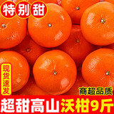 云南宾川高山沃柑纯甜沃柑树上熟新鲜橙子生鲜应季新鲜孕妇水果 净重8.5斤大果【果径65-70mm】