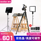 神牛（Godox） P120C-P260C LED补光灯平板摄影灯直播网红主播灯可调色温摄像灯柔光灯美食婚庆打光摄像补光灯 【11】P120C补光灯+6000电池套装【两灯】