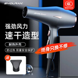 syouran德系电吹风机家用负离子大功率不伤发发廊理发店男士专用吹风筒大风力吹头发家用护发速干 银灰色(18000发廊级大风力）