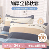 艾薇枕头套枕套一对纯棉家用全棉单人枕套枕芯套 罗马时代 48*74cm