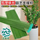 沪上花匠爬藤固定捆绑杆金钱树支撑杆室内瓜果花卉植物园艺花架花盆支架杆 10支4mm绿色50cm长 送10套帽